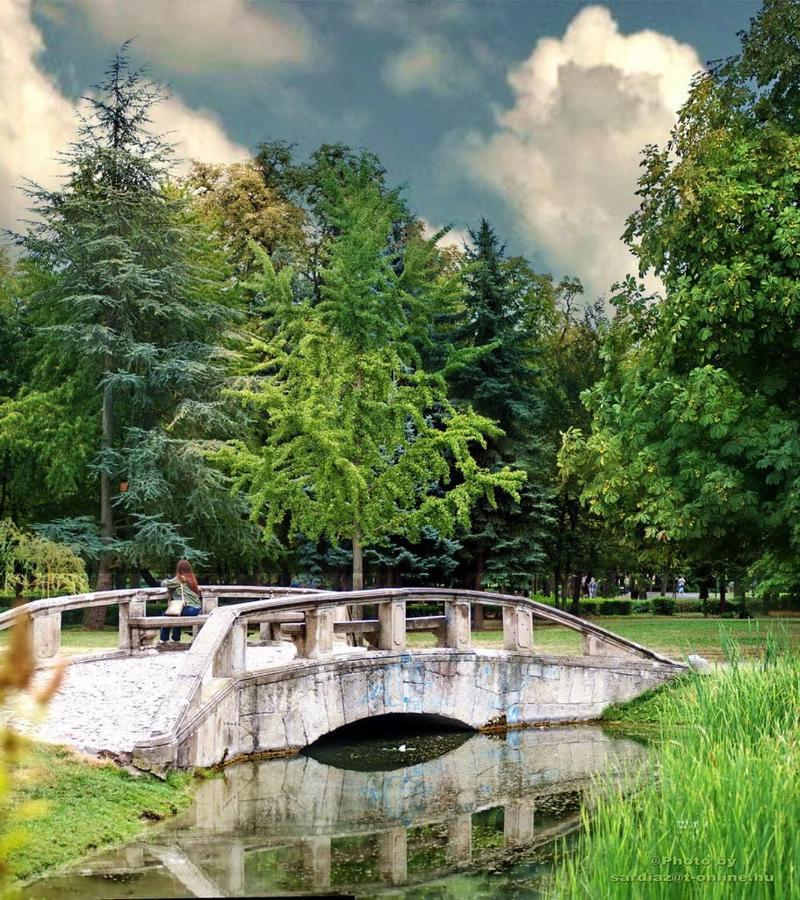 Sziget Apartman Eger Exteriér fotografie