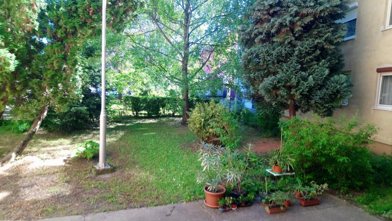 Sziget Apartman Eger Exteriér fotografie
